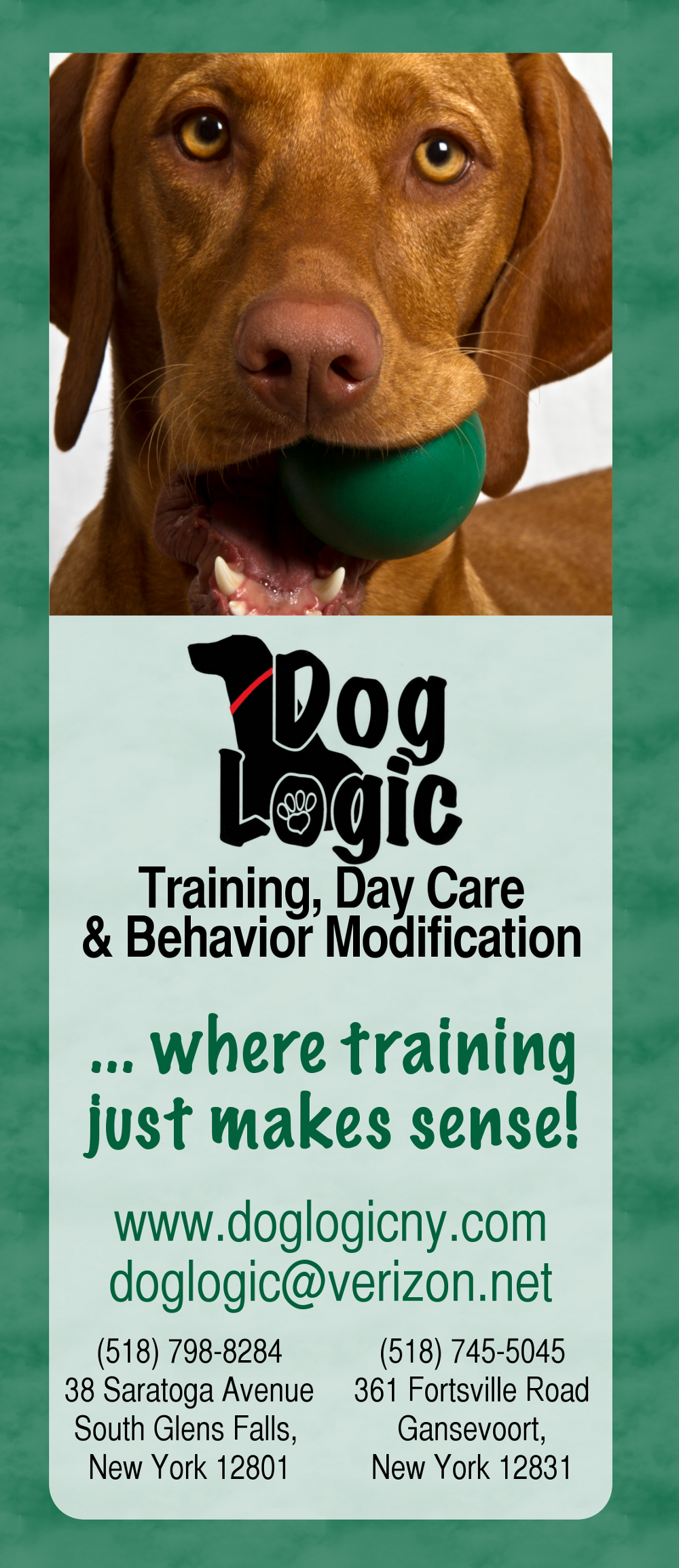 Advokate Web Design | Dog Logic Brochure