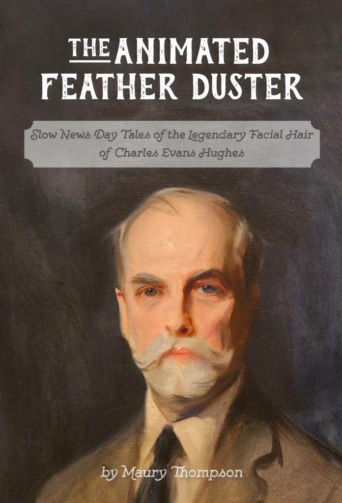 Book cover of The Animated Feather Duster