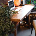 Laptop and salt lamp on a wooden desk and big potted plants